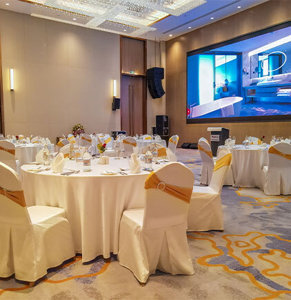 Conferencing